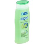 Dixi šampon březový 400 ml – Hledejceny.cz