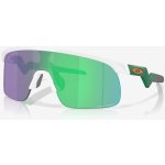 Oakley Resistor – Hledejceny.cz