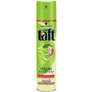 Taft Ultra Strong Volume 250 ml