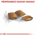 Royal Canin Ageing 12+ 2 kg – Zboží Dáma