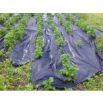 Gutta Zahradní textilie Agrotex 1,6 x 25 m 40 m2 – Zboží Dáma