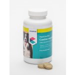 Covetrus Essentials NutriCareVet Immunity support Canine 85 tbl – Hledejceny.cz