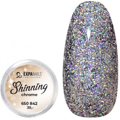 Expa nails třpytky na zdobení nehtů shining chrome glitter 2 2 g – Zboží Mobilmania