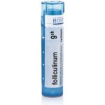 FOLLICULINUM POR 9CH GRA 1X4G – Hledejceny.cz
