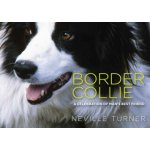 Border Collie – Zboží Dáma