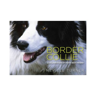 Border Collie – Zboží Dáma