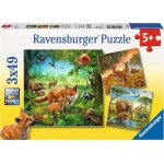 Ravensburger Zvířata v zoo lese nebo v domě 3 x 49 dílků – Hledejceny.cz
