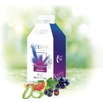 Eurona by Cerny Aloe vera nápoj ACTIVE IMMUNITY 500 ml – Hledejceny.cz