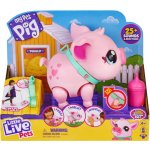 PIGGLY COBI MO-26366 Little LIve Pets – Zboží Mobilmania