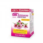 GS Echinacea Forte 600 90 tablet – Hledejceny.cz