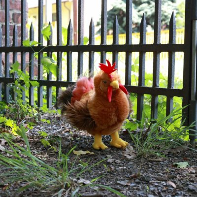 Eco- Friendly Rappa kohout stojící 33 cm – Hledejceny.cz