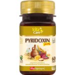 VitaHarmony Pyridoxin 60 tablet – Hledejceny.cz