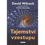 Tajemství vzestupu - Wilcock David – Sleviste.cz