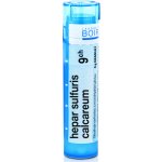 HEPAR SULFURIS CALCAREUM POR 9CH GRA 4G – Hledejceny.cz