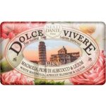 Nesti Dante Dolce Vivere mýdlo Pisa 250 g – Hledejceny.cz