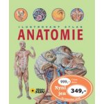 Ilustrovaný atlas Anatomie – Zbozi.Blesk.cz