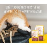 Josera Kitten 10 kg – Zboží Dáma