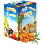 Ovocňák rakytníkový mošt 3L – Zboží Dáma