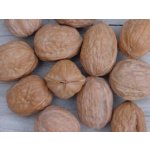 Kondom v ořechu – Zboží Dáma