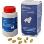 Univit Roboran Chondro 6 pro psy 180 tbl – Hledejceny.cz