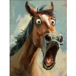 Norimpex Udivený kůň 30 × 40 cm – Hledejceny.cz