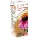 PM Propolis Echinacea extra 3% kapky 50 ml – Hledejceny.cz