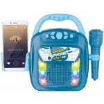 Wiky Hudební box s mikrofonem a bluetooth 28cm – Zboží Dáma