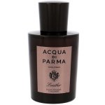 Acqua di Parma Colonia Leather kolínská voda pánská 100 ml – Hledejceny.cz