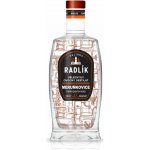 Radlík Meruňkovice Velkopavlovická 45% 0,5 l (holá láhev) – Hledejceny.cz