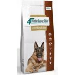 VetExpert Veterinary Diet 4T Intestinal Dog 12 kg – Zboží Mobilmania