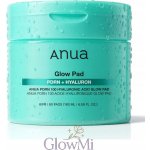 Anua PDRN 100 Hyaluronic Acid Glow Pad Rozjasňující polštářky s PDRN a kyselinou hyaluronovou 60 ks 180 ml – Sleviste.cz
