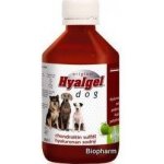 Hyalgel Dog Original jablko 500 ml – Hledejceny.cz