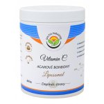 Salvia Paradise Vitamin C Liposomal agarové bonbony 60 ks – Hledejceny.cz