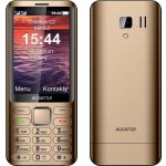 Aligator D950 Dual Sim zlatý – Zboží Živě