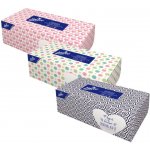 Linteo papírové kapesníčky v krabičce 2-vrstvé 200 ks – Zboží Mobilmania