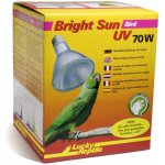 Lucky Reptile Bright Sun Bird 70W – HobbyKompas.cz