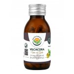 Salvia paradise vilcacora uncaria tomentosa 60 kapslí – Hledejceny.cz