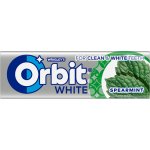 Orbit žvýkačky White Spearmint dražé 10 ks – Hledejceny.cz