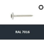 Vrut s podl. 15mm, nerez A2 4,5x45 Torx RAL7016 (Art.8790) 200ks – Hledejceny.cz