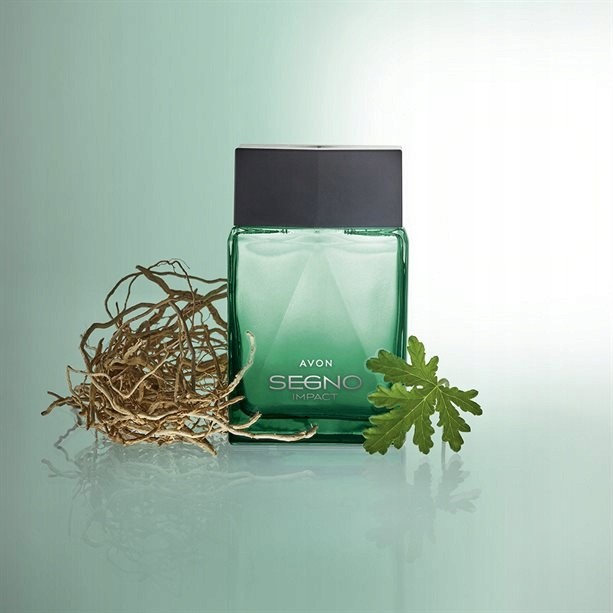 Avon Segno Impact parfémovaná voda pánská 75 ml