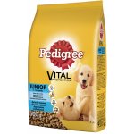 Pedigree Junior 0,5 kg – Hledejceny.cz