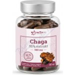 Nutricius Chaga 500 mg gummies 60 ks – Hledejceny.cz