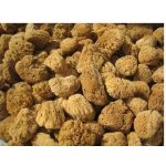 Naturgreen přírodní mycí mořská houba 16-17 cm – Zboží Dáma