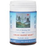 TCM Herbs Chlad ranní mlhy 100 tablet – Hledejceny.cz