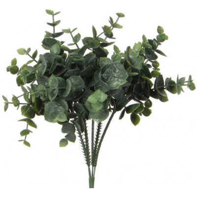 Blahovičník - Eukalyptus zelená délka 20 cm (A1021008) – Zbozi.Blesk.cz