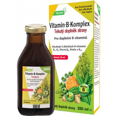 SALUS Floradix Vitamin-B-Komplex, 250 ml