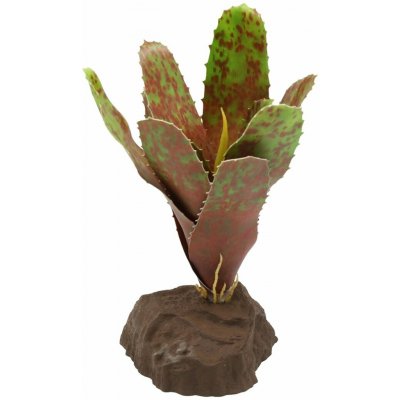 Lucky Reptile bromélie neoregelia zelená 20 cm – Sleviste.cz