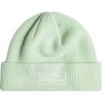 Roxy Folker beanie dámská zimní čepice světle zelená – Hledejceny.cz