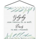 Albi Cedulka Jsi boží – Sleviste.cz
