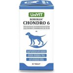 Univit Roboran Chondro 6 60 tbl – Hledejceny.cz